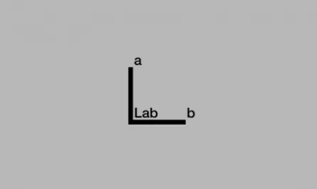 a Lab b