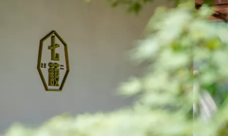 鹿溪七蔎导视系统设计