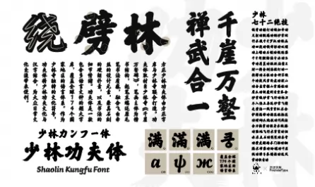 方正少林功夫体